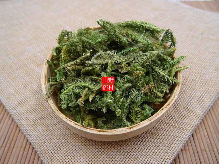 云南药材伸筋草 筋骨草 舒筋草石松狮子 500g包邮
