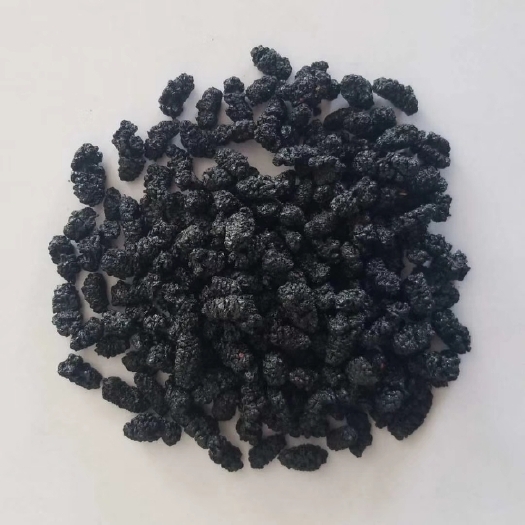 德昌县黑桑葚 四川德昌桑椹上市，有需要的老板联系我，可以代收，一手货源