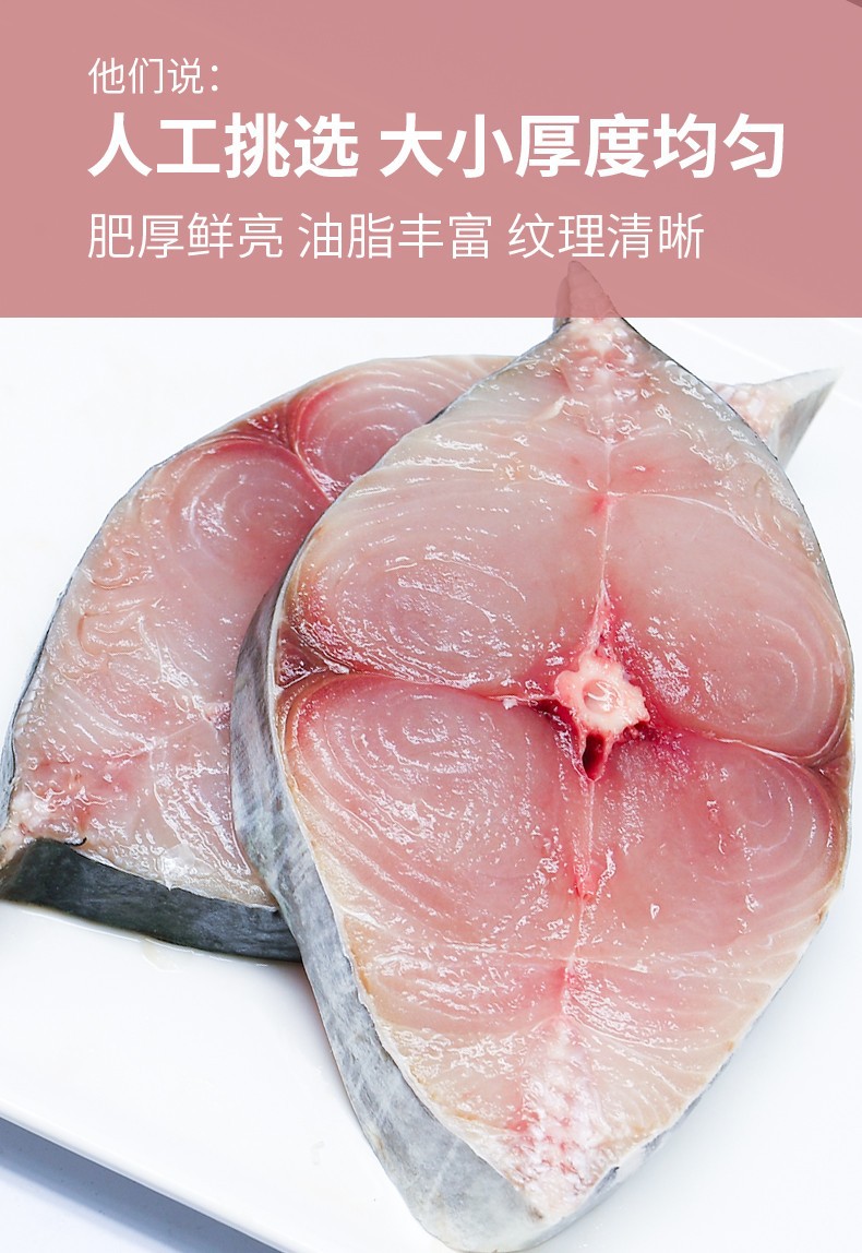 马鲛鱼片  中段马鲛鱼 马鲛鱼切片 冻马鲛鱼片