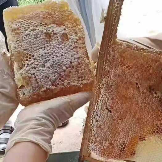 成都土蜂蜜  纯蜂巢蜜 嚼着吃的蜂蜜 产地直销