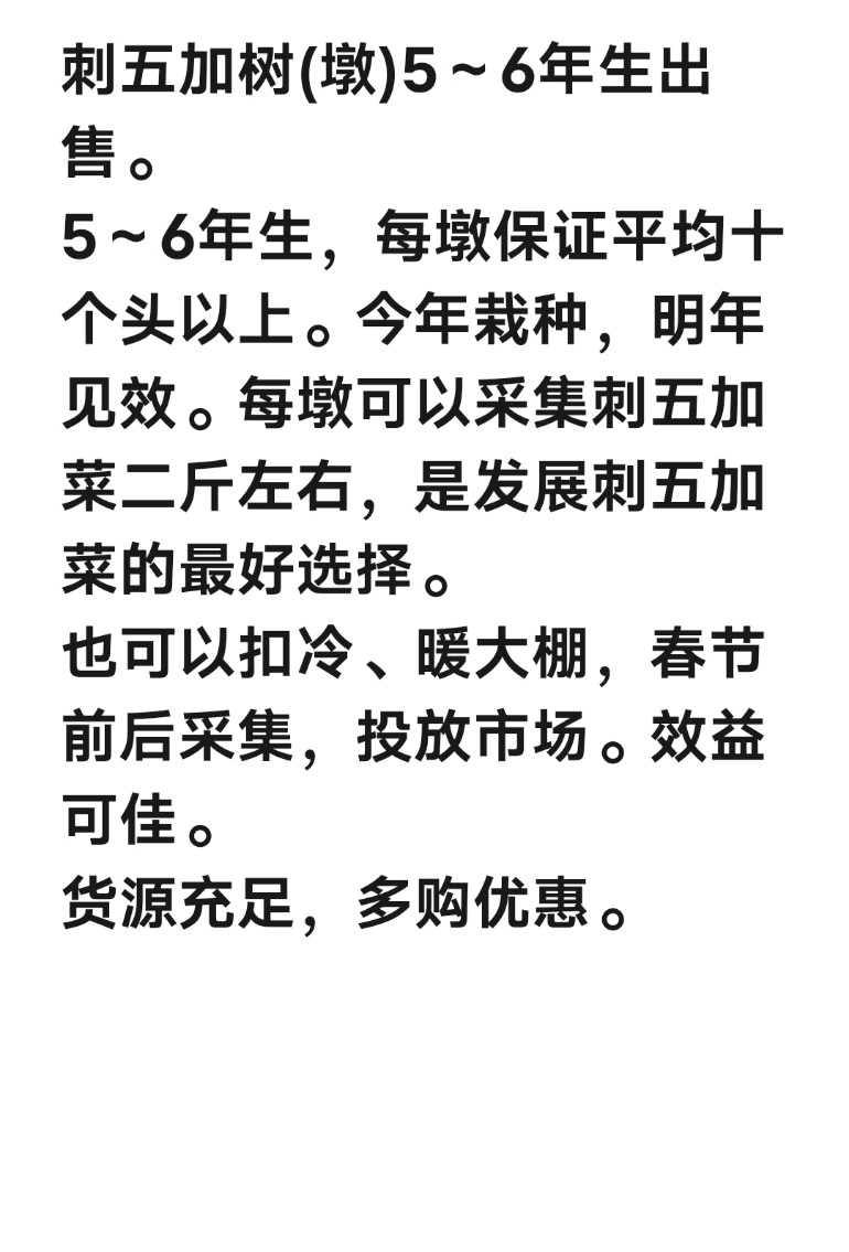 刺五加菜 刺五加树墩(5～6年生)每墩保证十个头以上。
