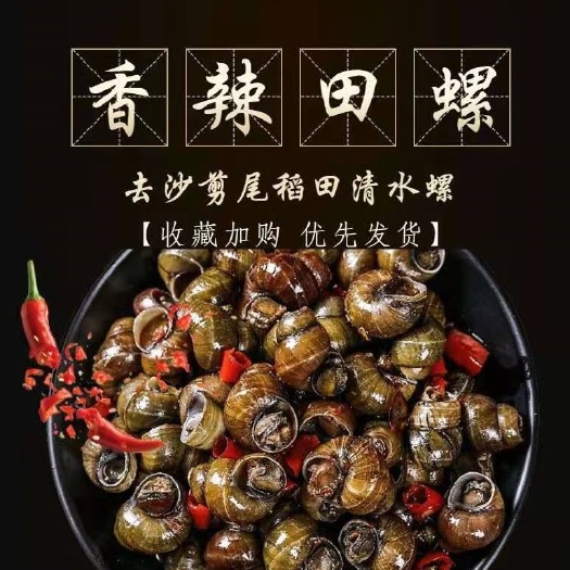 潜江市螺肉  夏夜啤酒绝配！麻辣螺狮，厂家直销、量大从优！