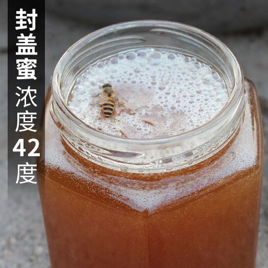 榆中县 西北土蜂蜜，