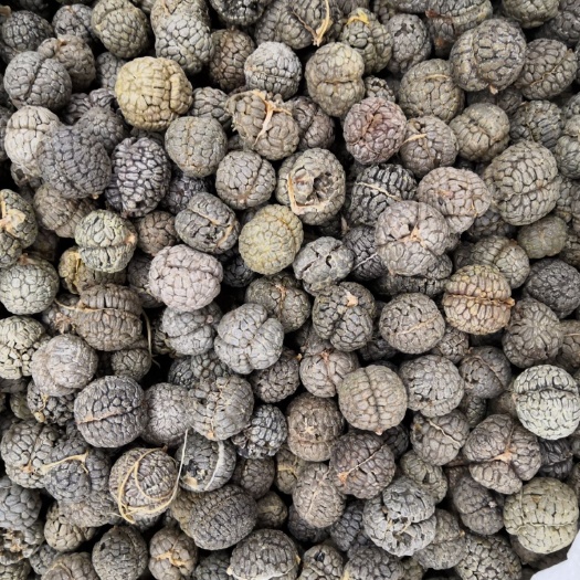 新货 草寇 草豆蔻 无硫 各种香料 卤料调料 中药材