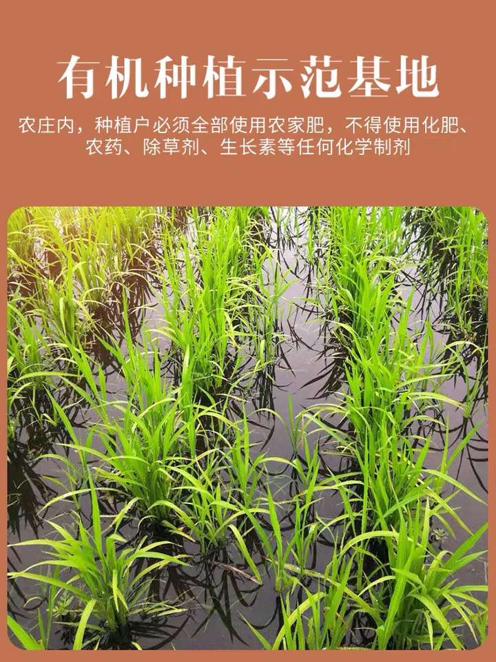 籼米  软粘