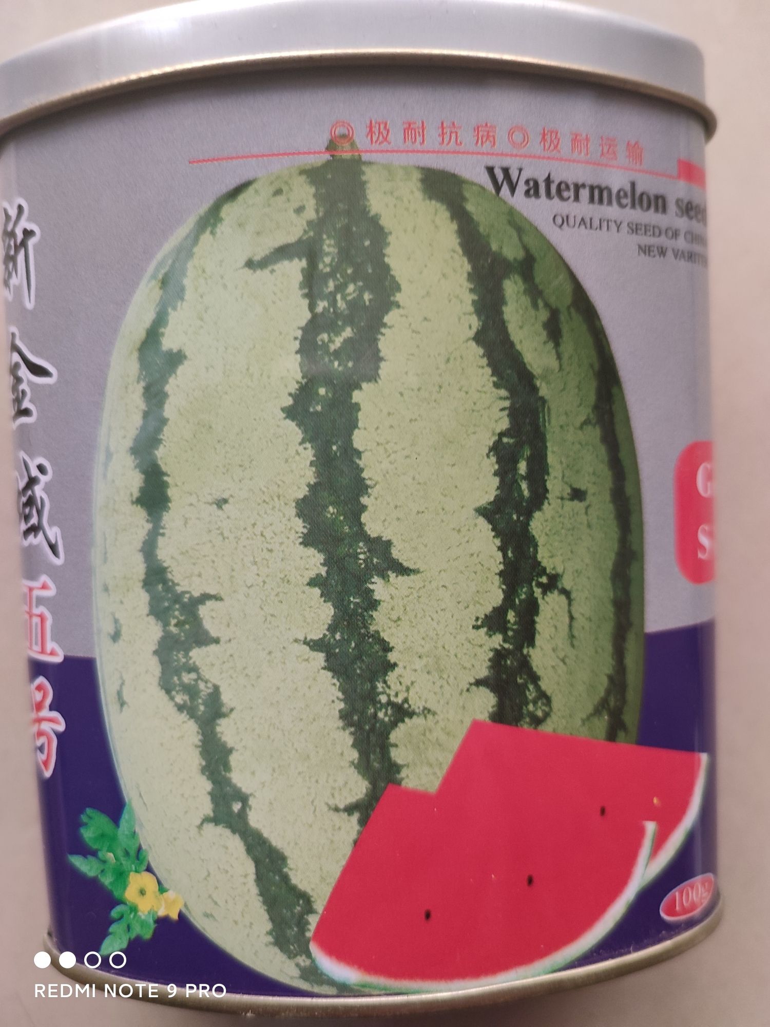 硒砂瓜西瓜种子 二倍体杂交种 ≥95% 