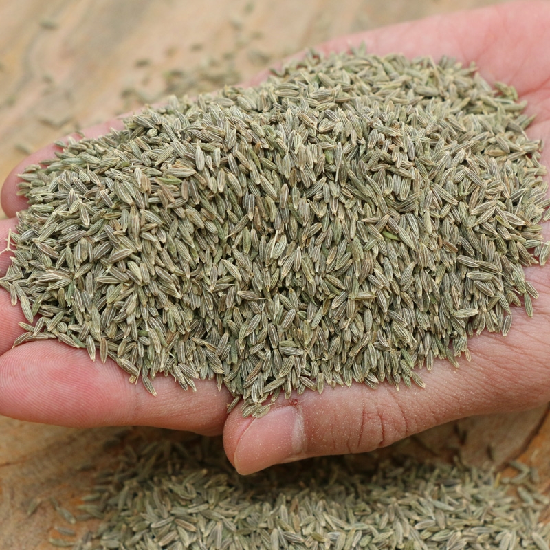 新疆孜然2022新货上市  纯正新疆货精选孜然新疆发货