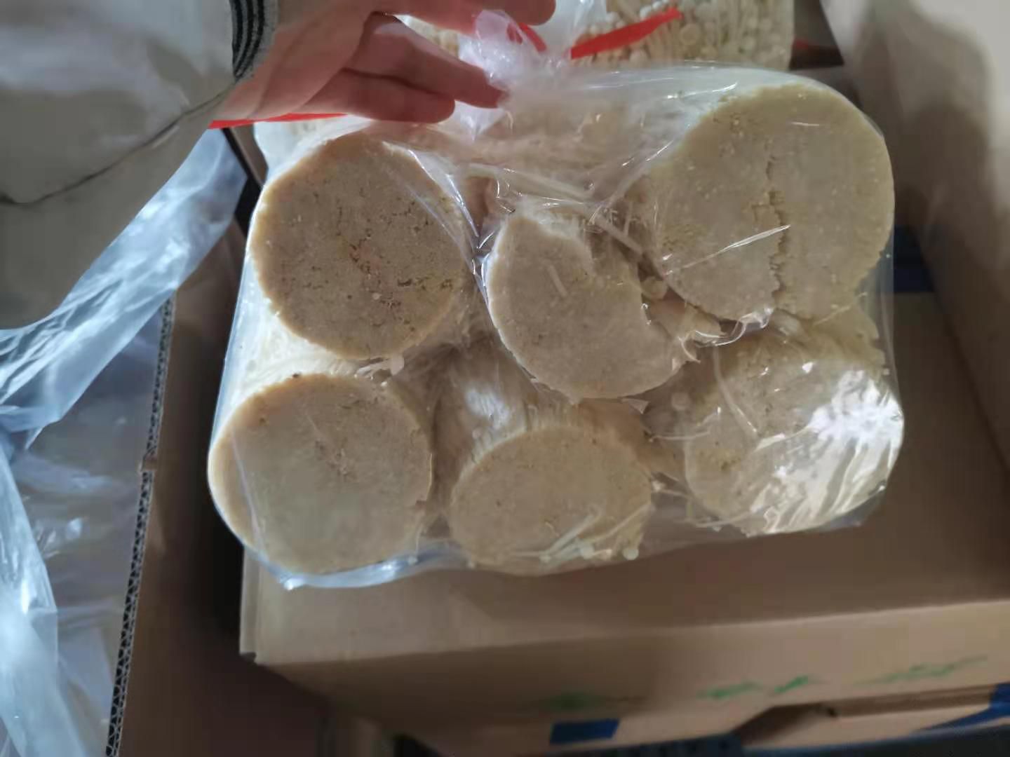 白金针菇 鲜金针菇 未开伞