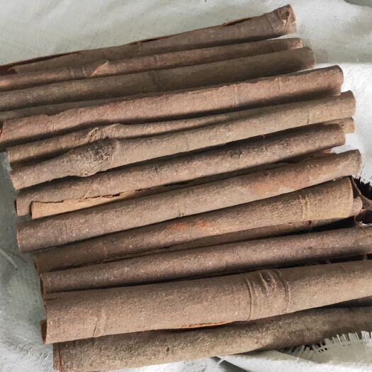 玉林 桂皮中通