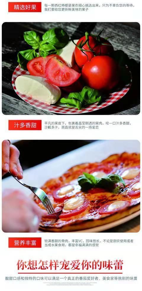 水果西红柿  西红柿 绿色、新鲜、现摘现发