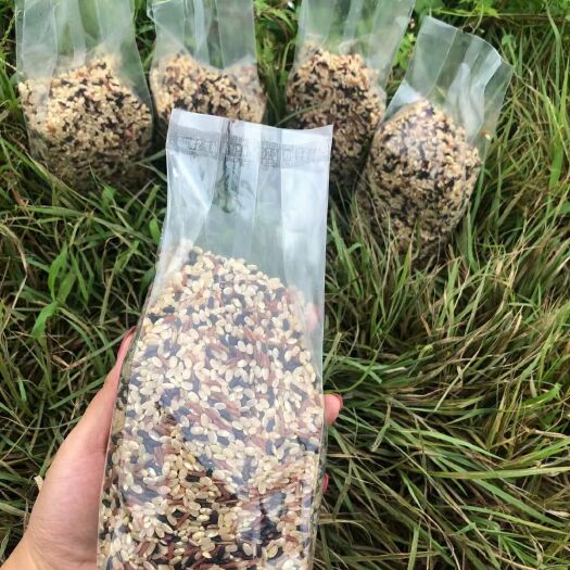 蒙阴县 血糯米、三色米、茬子