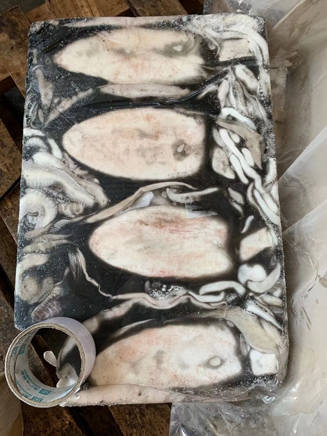 大王乌贼 印度墨鱼 鲜冻墨鱼 大量批发 有量有价 福州发货