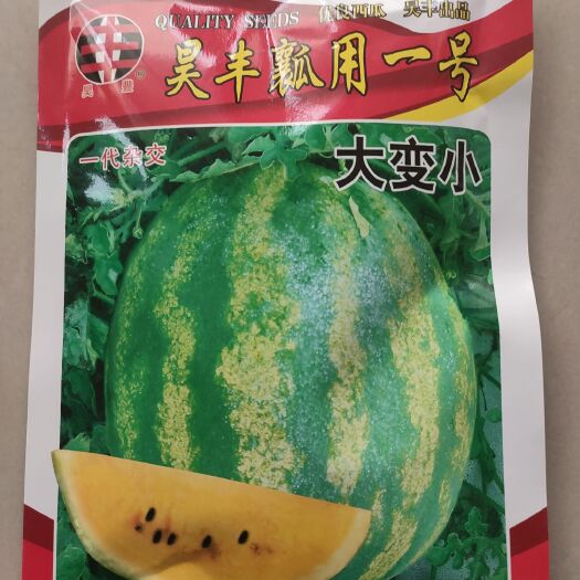 武威硒砂瓜西瓜种子 二倍体杂交种 ≥95% 