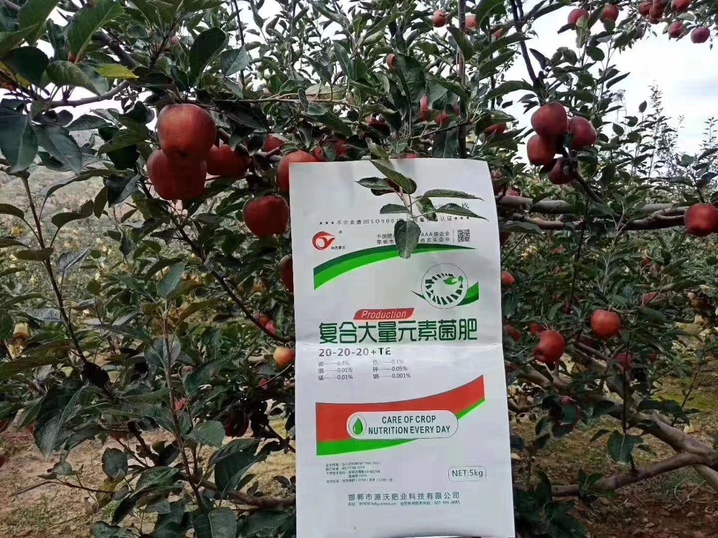 复合肥  复合大量元素水溶肥，高氮型的。高钾的，平衡的，高磷的。
