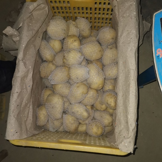 精选供港蔬菜  内销  常年供应4～8两，8两以上土豆