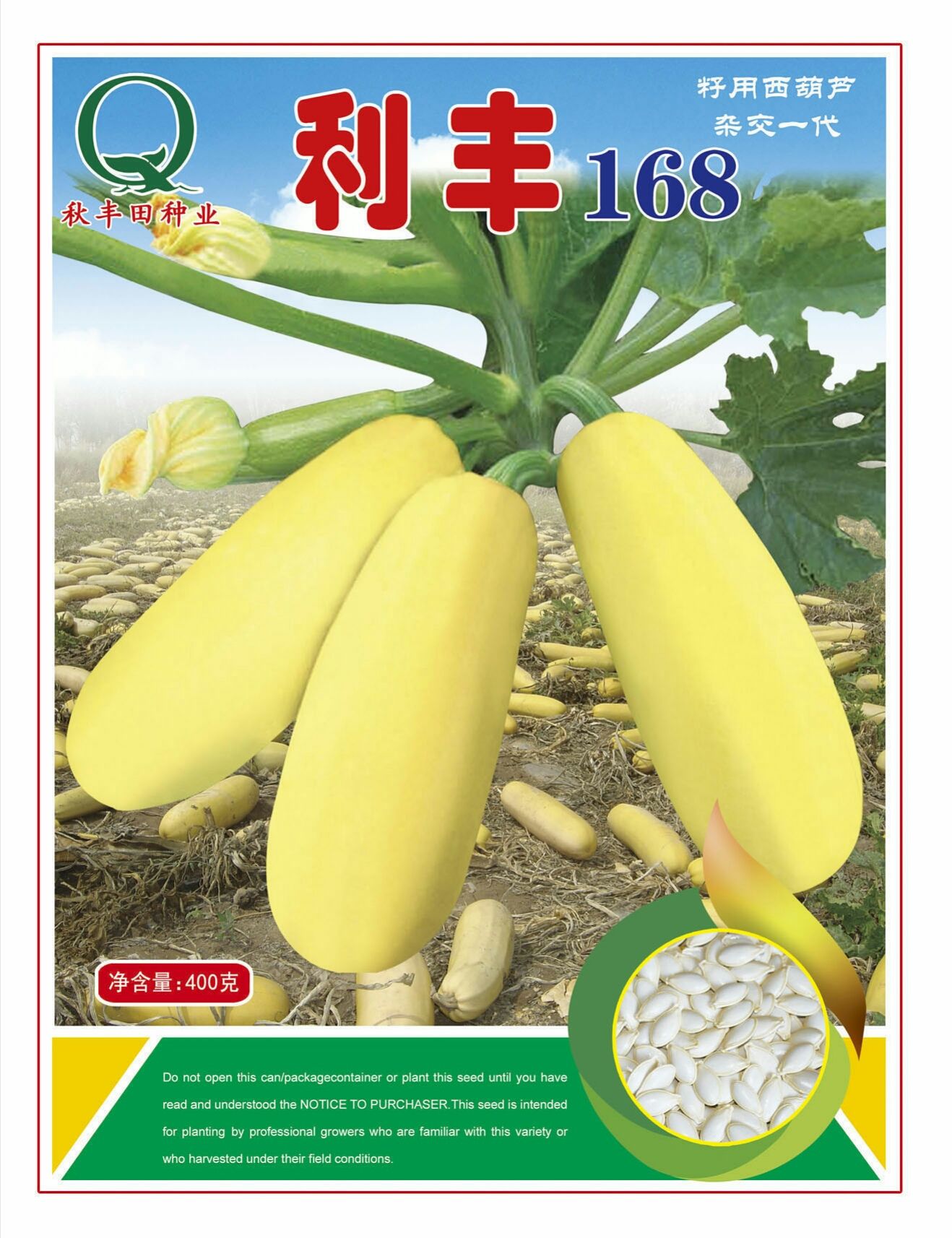 固阳县葫芦种子  利丰168 籽用西葫芦
