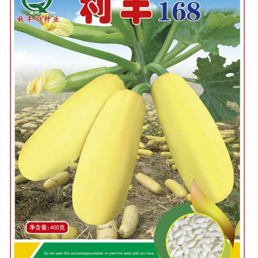 利丰168 籽用西葫芦种子