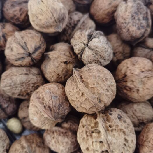 南华县泡核桃 干，未分拣，去年的