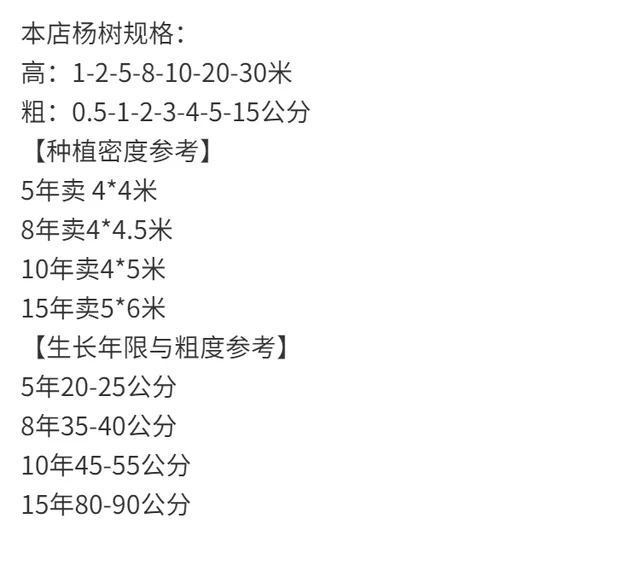 速生无絮杨树苗3804种条批发 107杨树种条扦插小苗