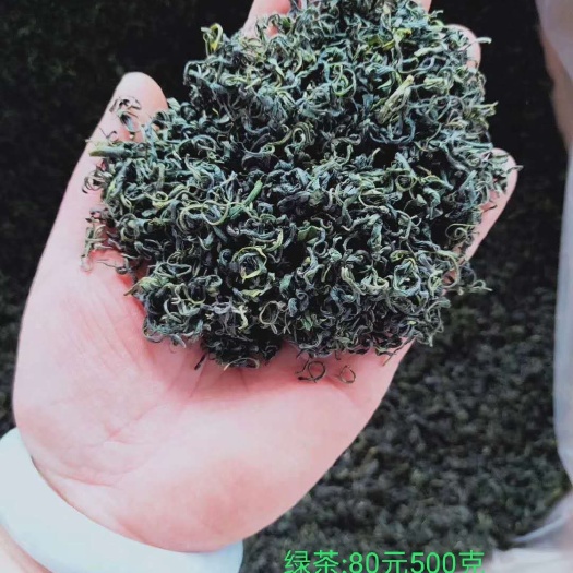 凤冈县毛尖茶  绿茶