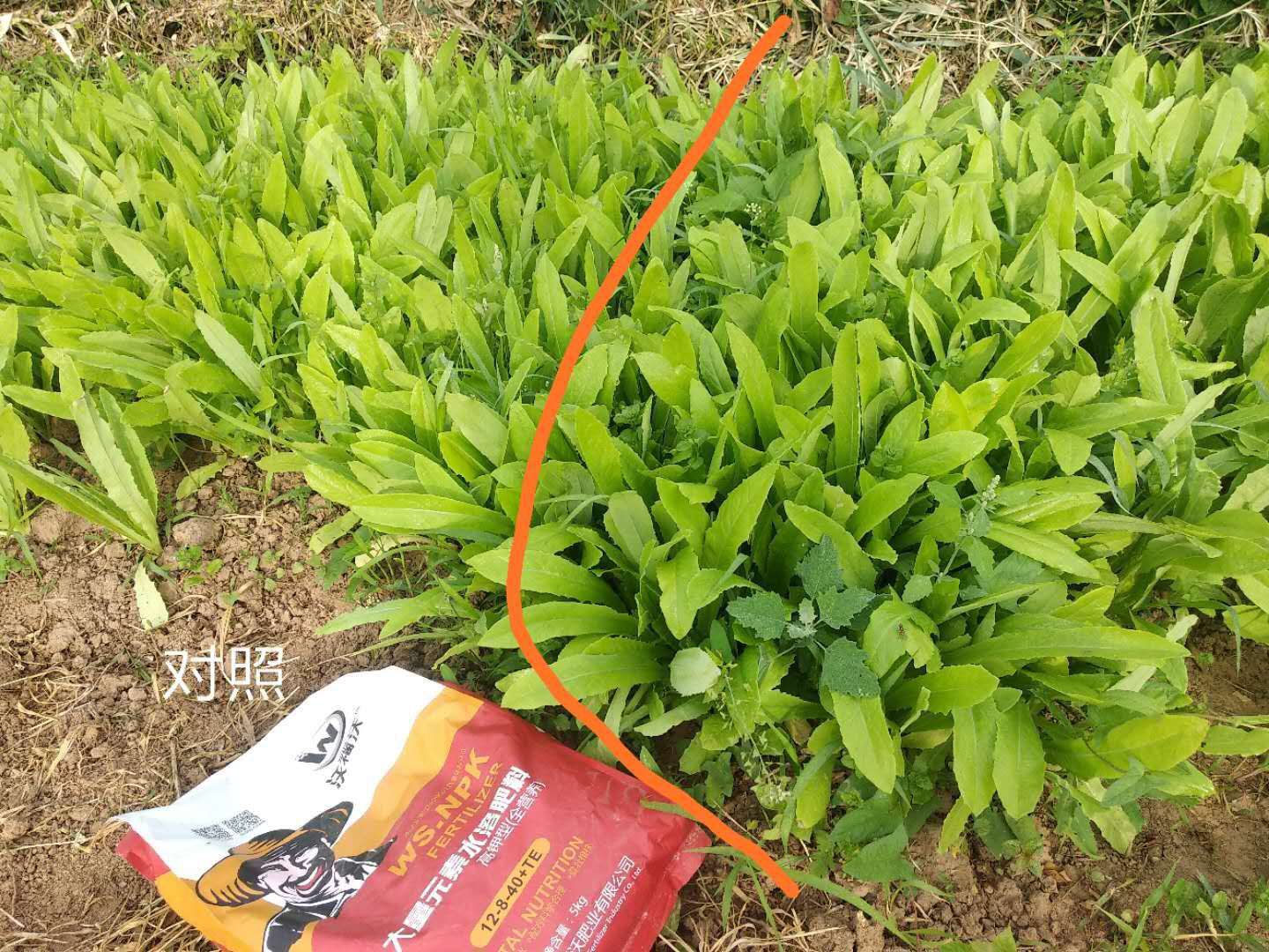 钾肥  大量元素水溶肥高钾型    膨果转色   补充营养全面