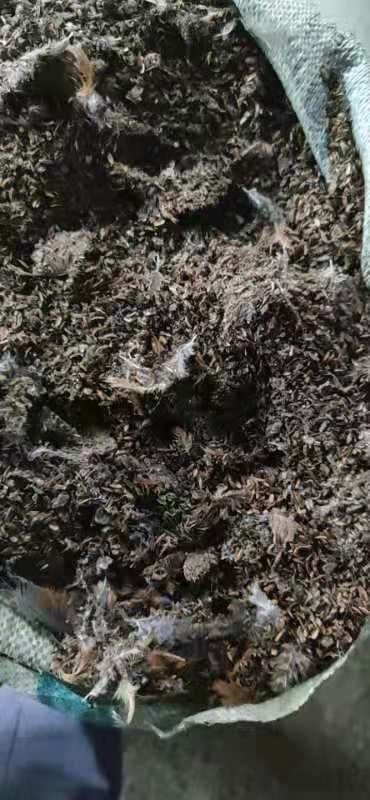 新沂市稻壳鸡粪，大量现货供应