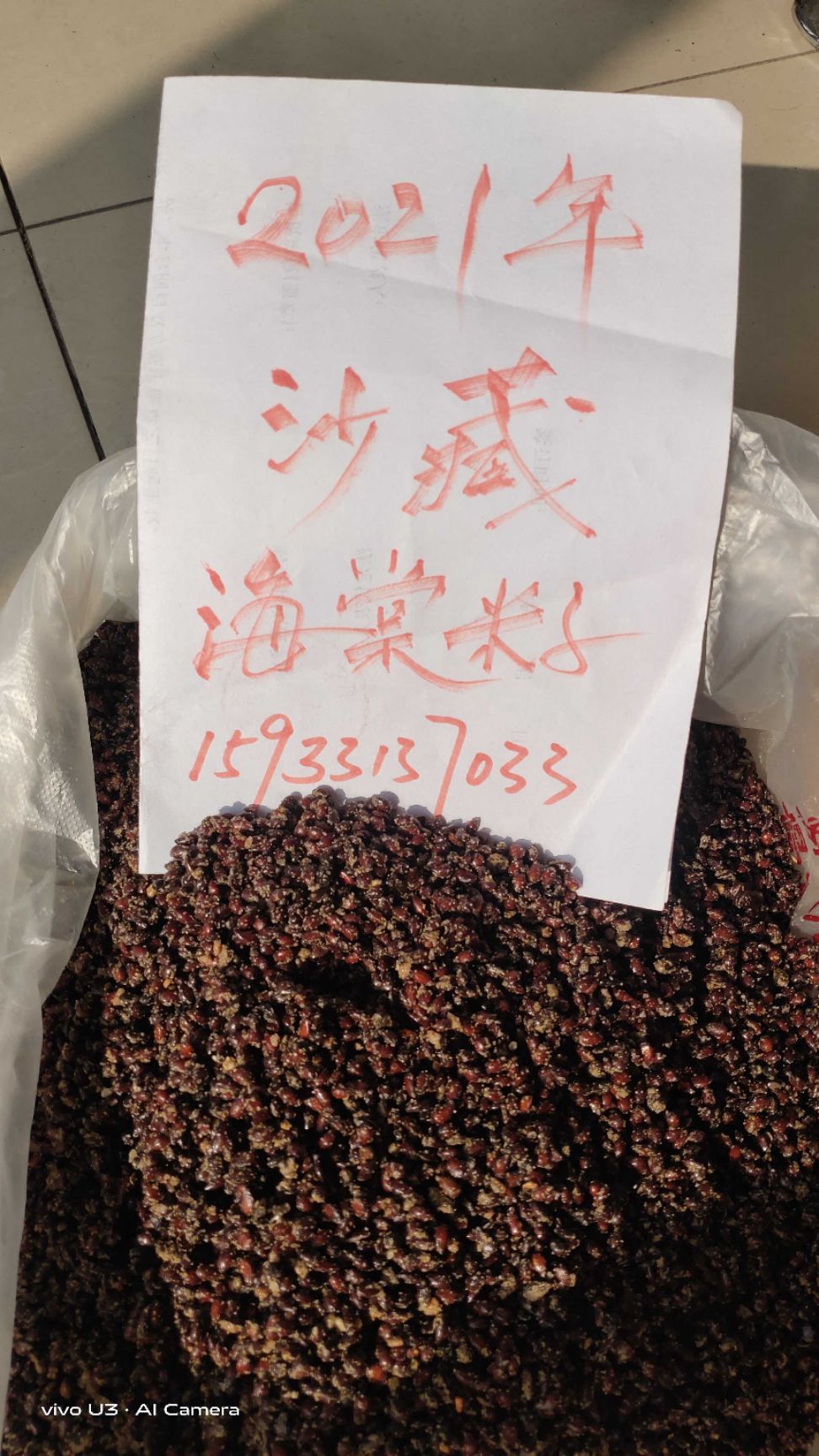 八棱海棠种子，八棱海棠籽，嫁接苹果树种子。