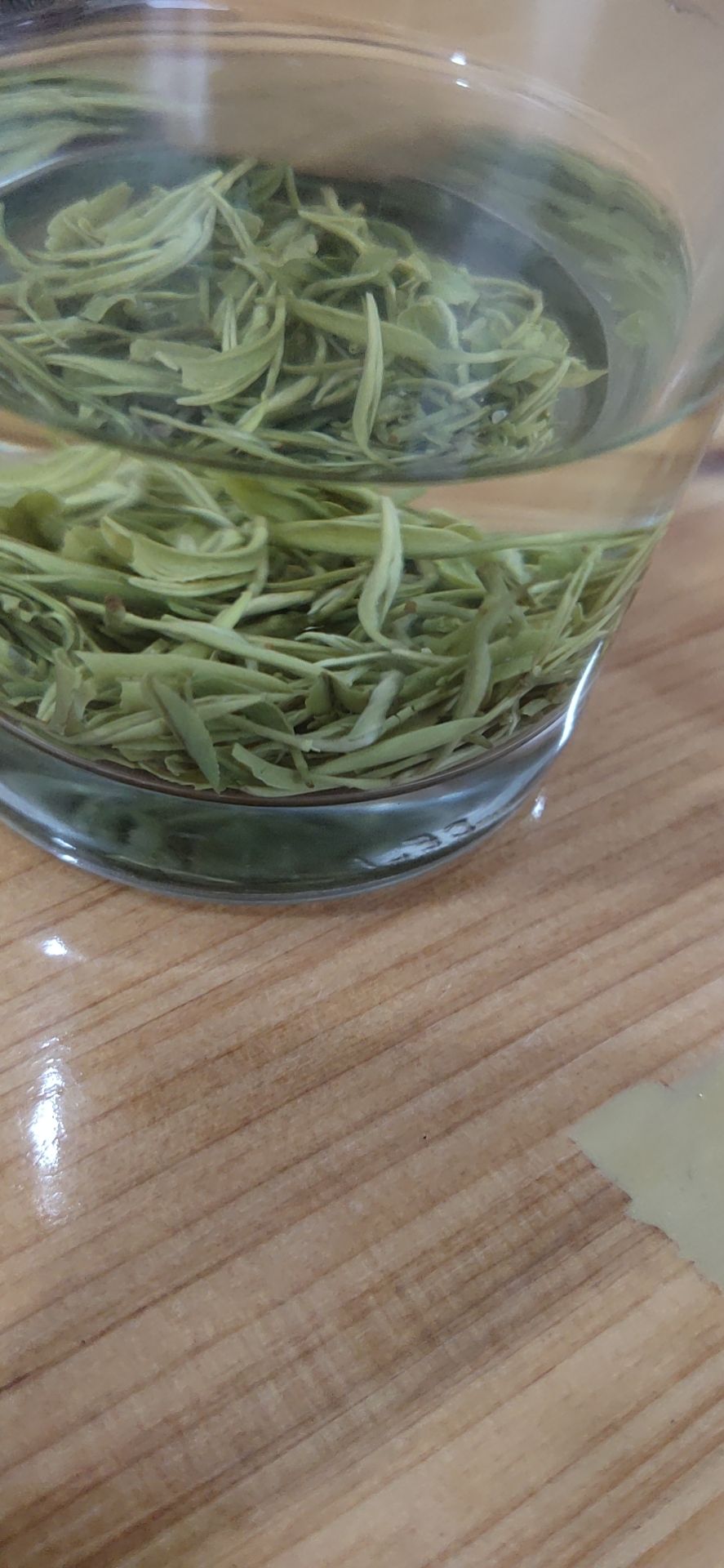 狗牯脑茶  狗牯脑高山绿茶，全芽