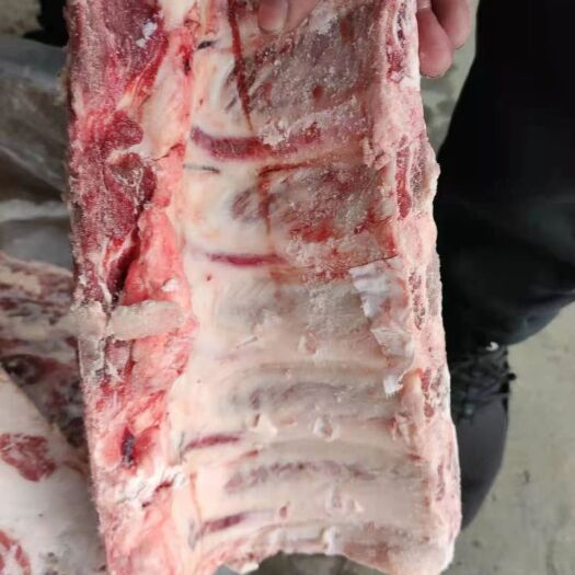 南京牛脊骨 阿根廷1014牛肋眼骨