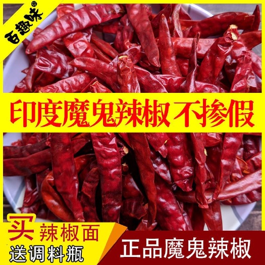 柘城县印度魔鬼辣椒特辣超辣辣椒s17印度椒魔鬼辣