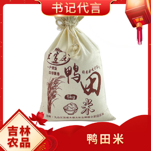 长春香米 吉林省长春市九台区 一等品 一季稻 粳米 