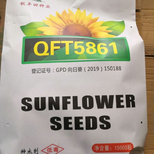 固阳县QFT5861    食用向日葵