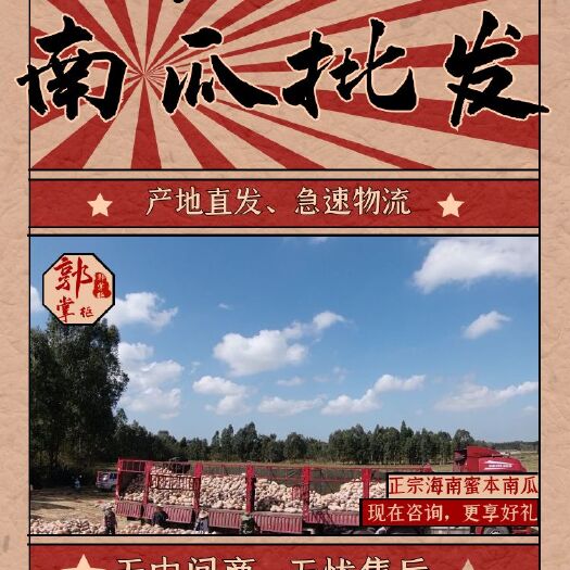上海湖北松滋密本南瓜送往北京高端市场龙头企业直供