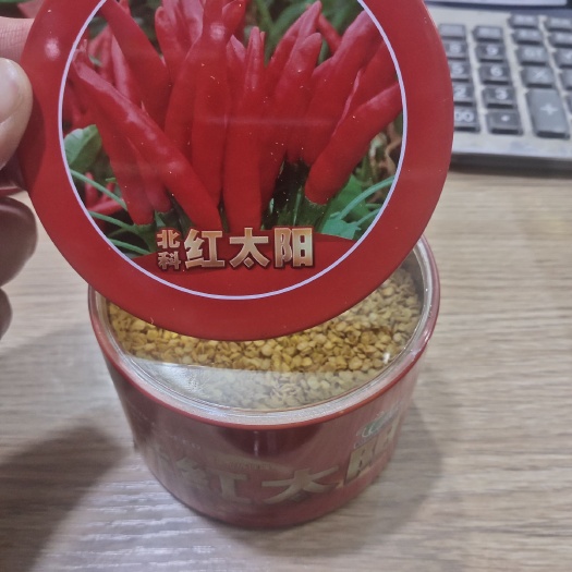 凌海市朝天椒种子 北科红太阳是一款高产.抗病.簇生的品种是一款深受种植户的喜爱