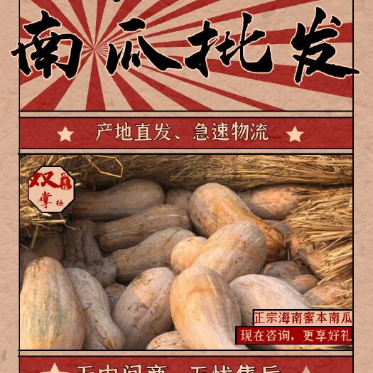 南宁广西蜜本南瓜市龙头企业直供