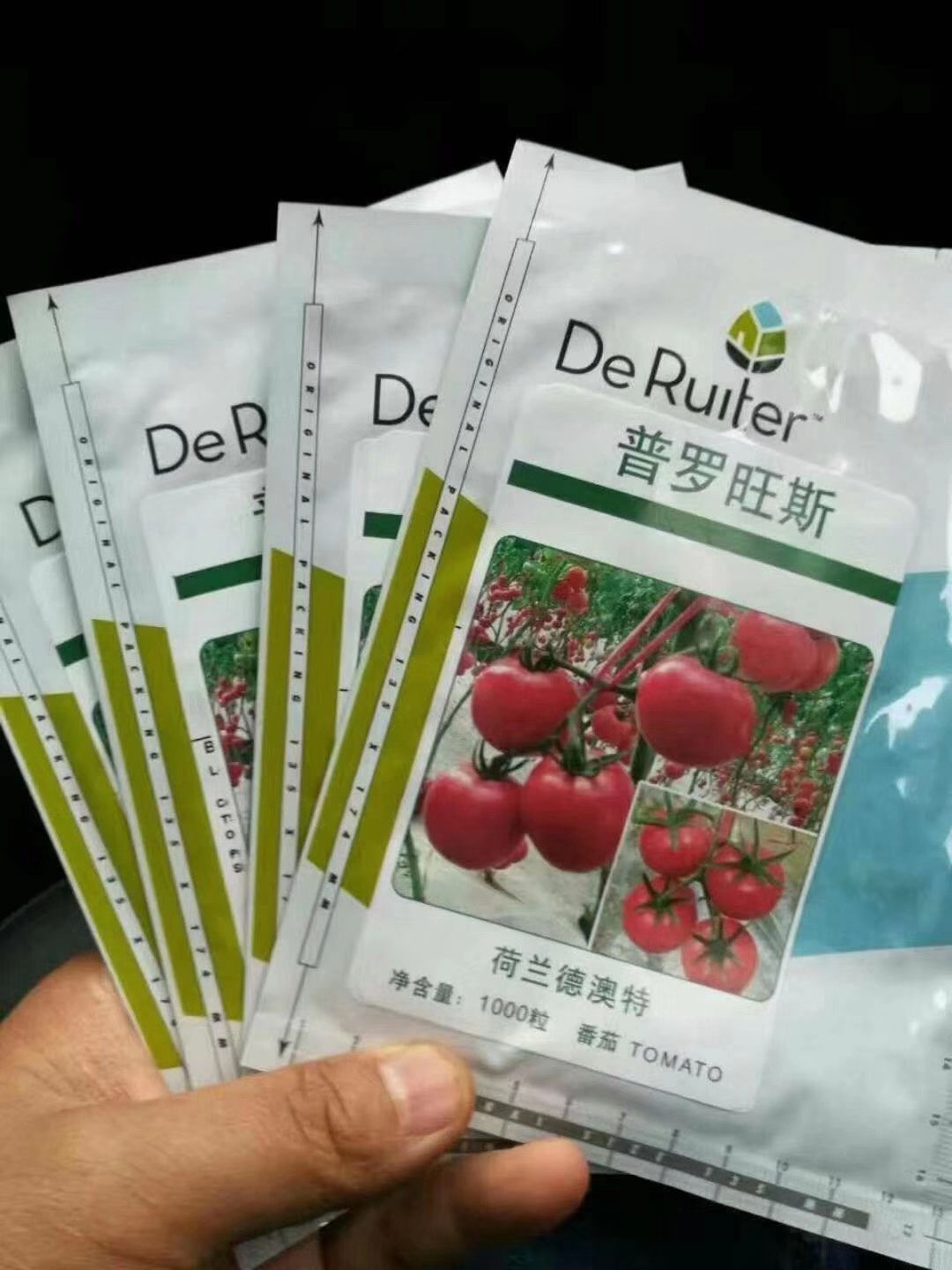 毛粉番茄苗  沙瓤软粉西红柿普罗旺斯正品种苗供应