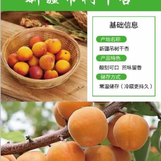 栖霞市新疆吊干杏苗木
