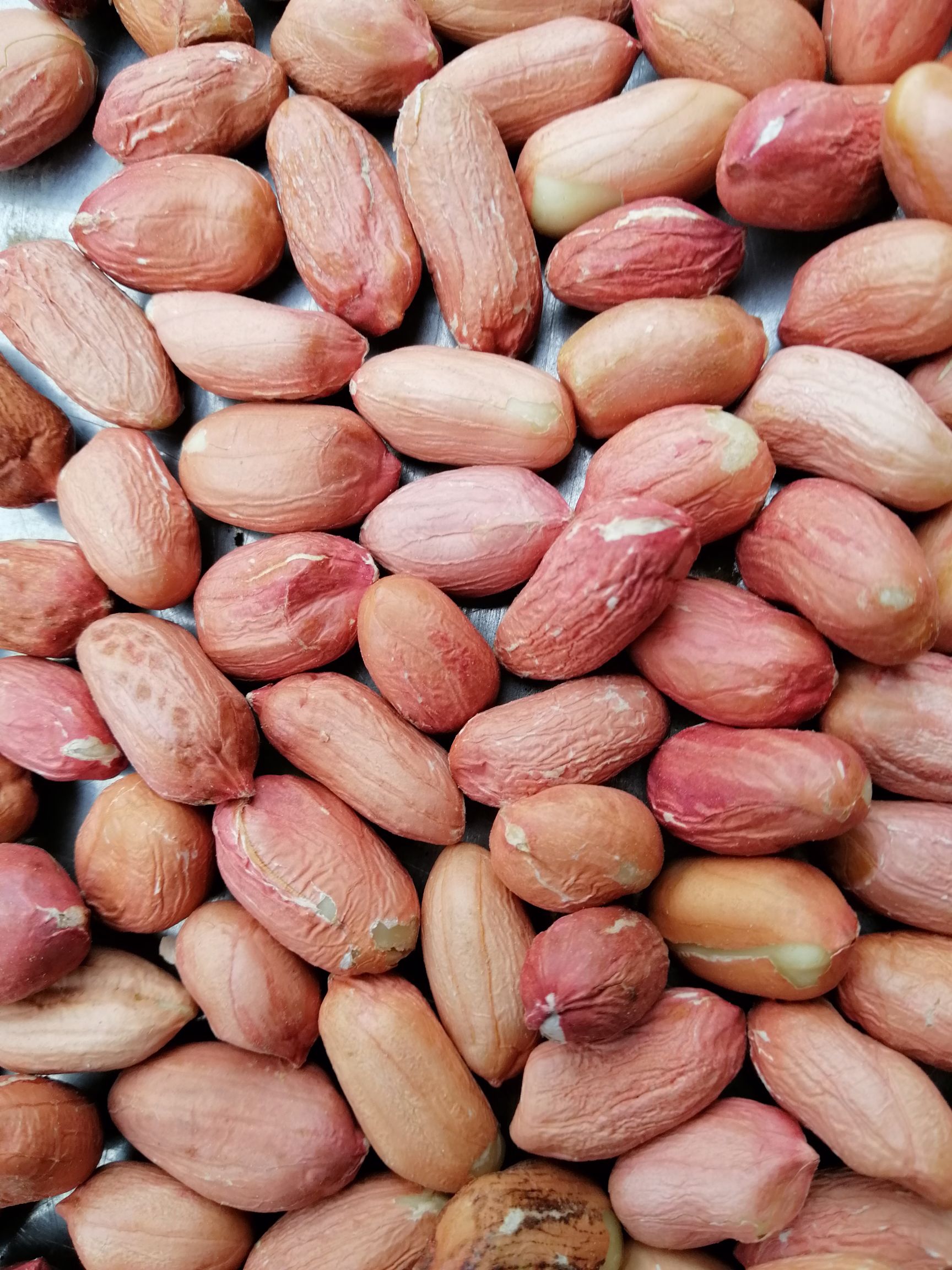 红皮花生 乳白花生，规格花生米