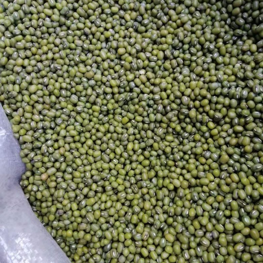 巴彦淖尔 绿芽豆