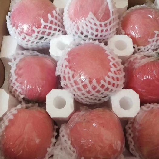 临猗县红星苹果 山西省运城市临猗县 纸+膜袋 条红+片红 一级果 