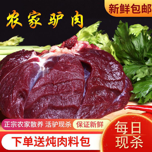湘潭驴肉【送炖肉料】河北特产鲜驴肉生鲜冷冻驴肉现杀现发