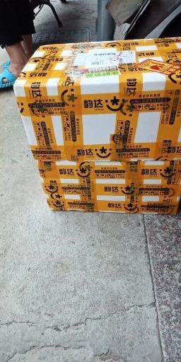 叙永县凤凰李， 李子