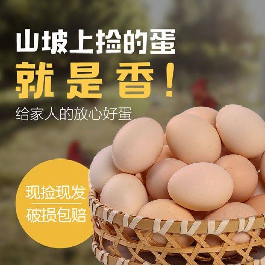 黄石【现捡现发包邮】土鸡蛋农家散养新鲜草鸡蛋柴鸡蛋笨鸡蛋多规格