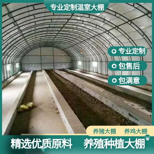 天津现代养殖大棚冬暖夏凉
