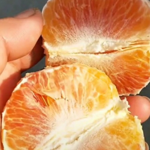 麻阳县塔罗科血橙  血橙出售