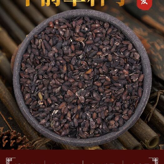 车前草种子，车前草籽，纯新四季可播品种