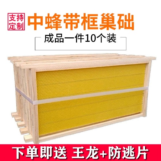 绵阳成品巢框中蜂蜂巢带巢础框蜜蜂框架巢基巢脾蜂箱养蜂专用工具全套