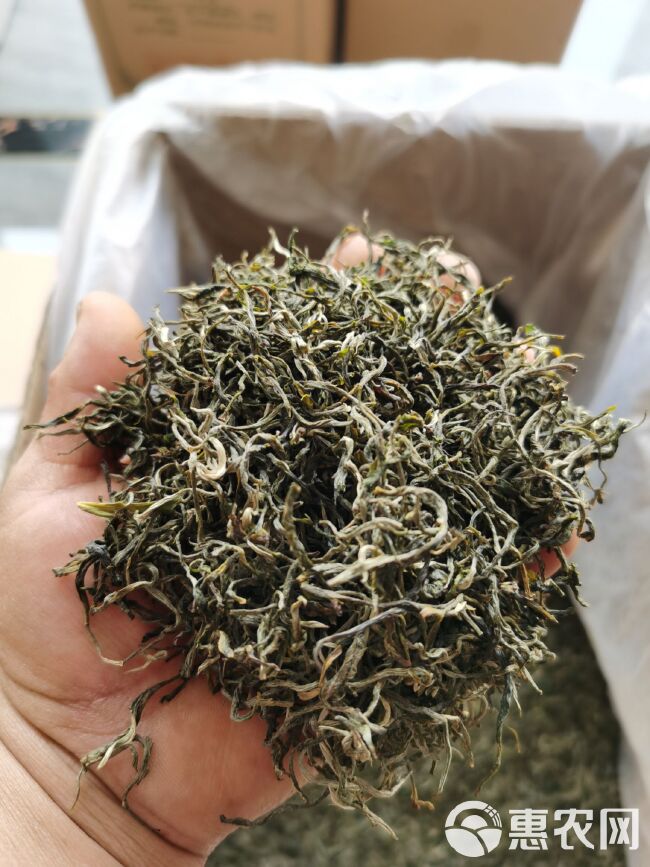 普洱巅绿茶 银丝春茶明前茶