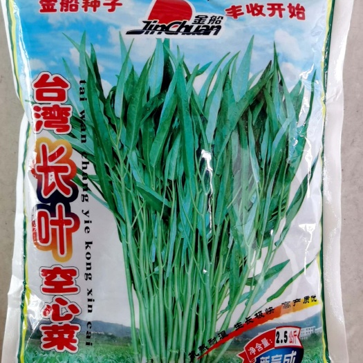空心菜种子，产量丰高，品质优良，一袋5斤