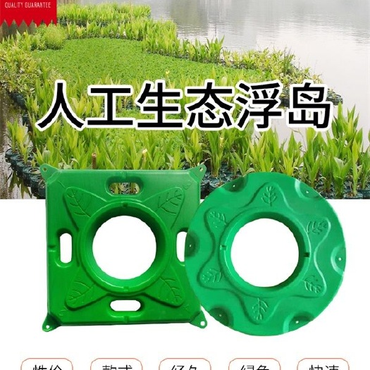 安新县水浮萍    浮岛 生态浮床